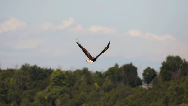 Eagle Northwest River Trail Routebound Bike